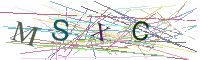 Visual Captcha